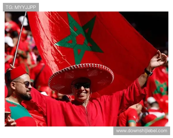 举办卡塔尔世界杯的总花费是多少，涉及基础设施建设和赛事运营的详细成本分析