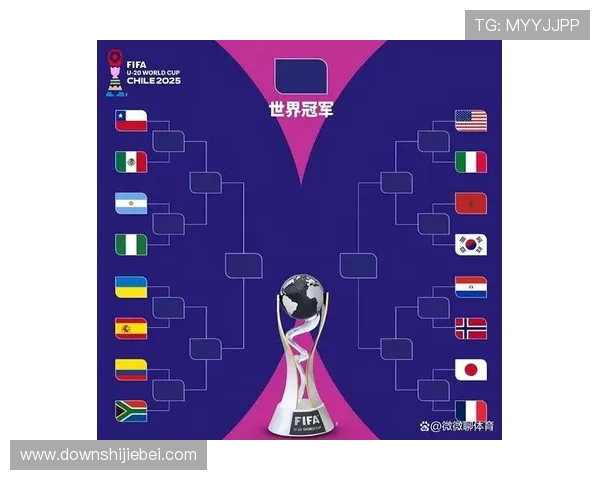 2026年世界杯南美区积分榜最新排名情况全面解析