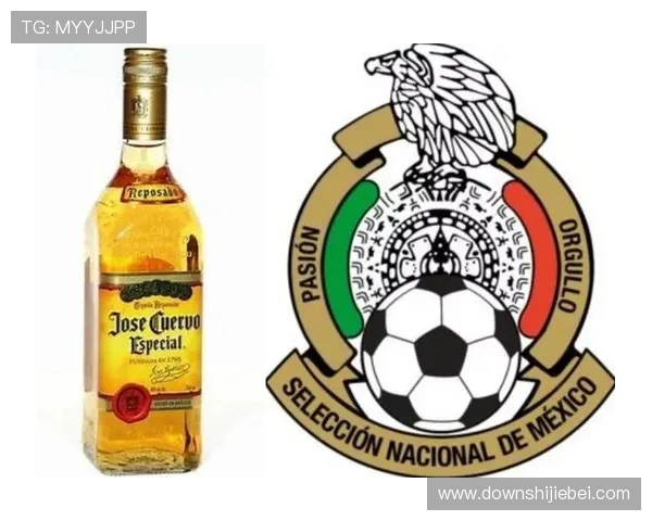 世界杯冠军次数排名榜最新更新,带你一览各国夺冠次数的详细统计与分析